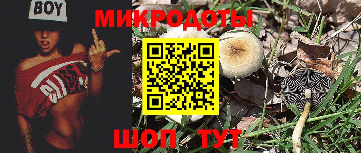 Владимир  Галлюциногенные грибы Cubensis  Вход с VPN 